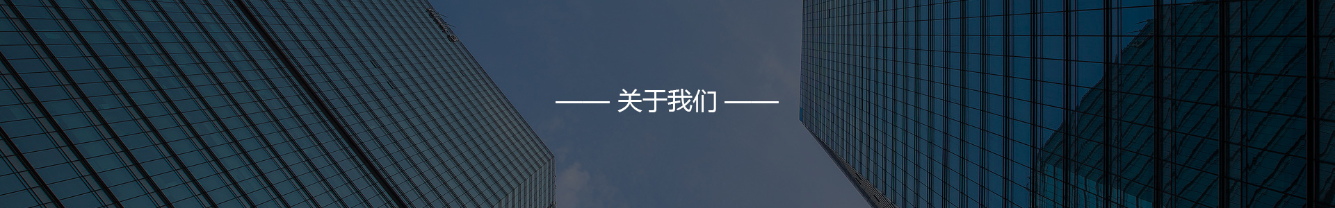 公司簡介